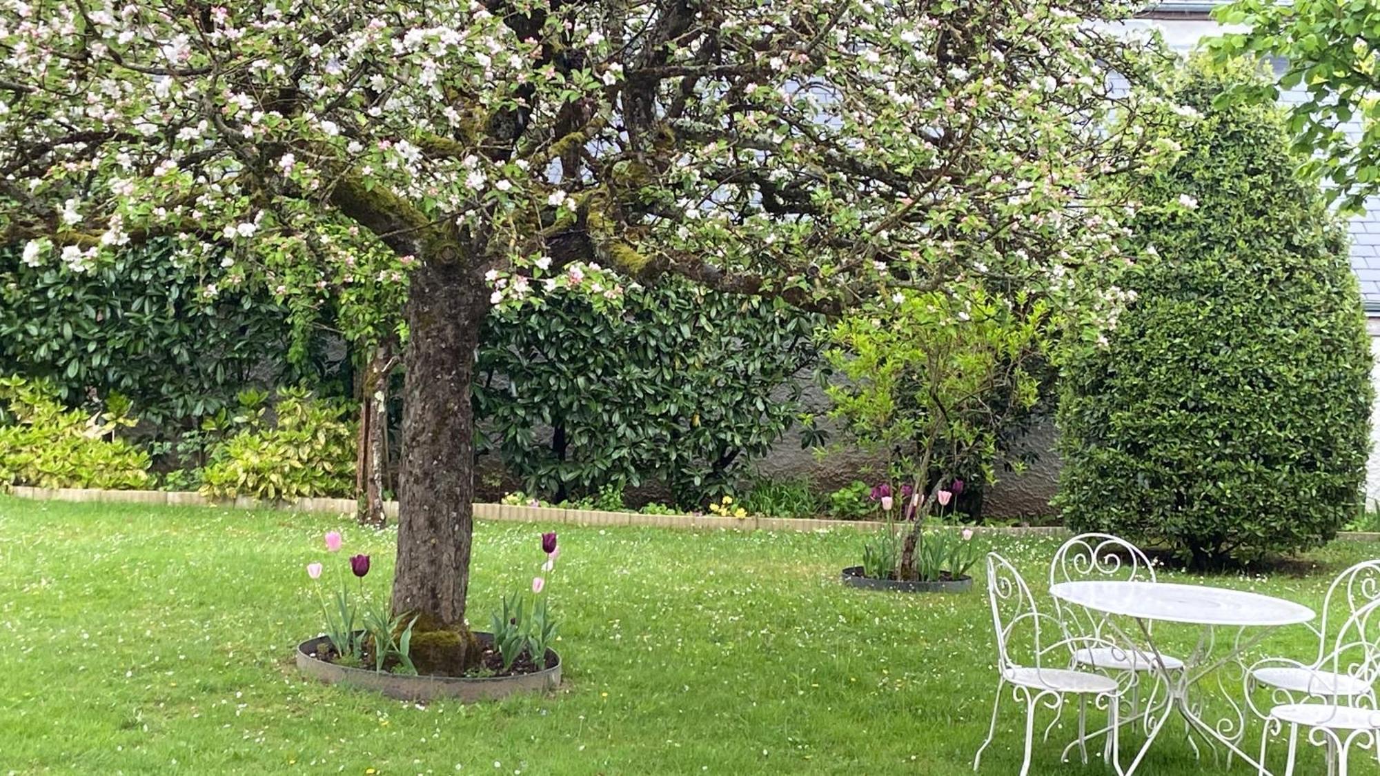 Le Hameau Du Moulin A Vent 호텔 셍 따베흑땅 외부 사진